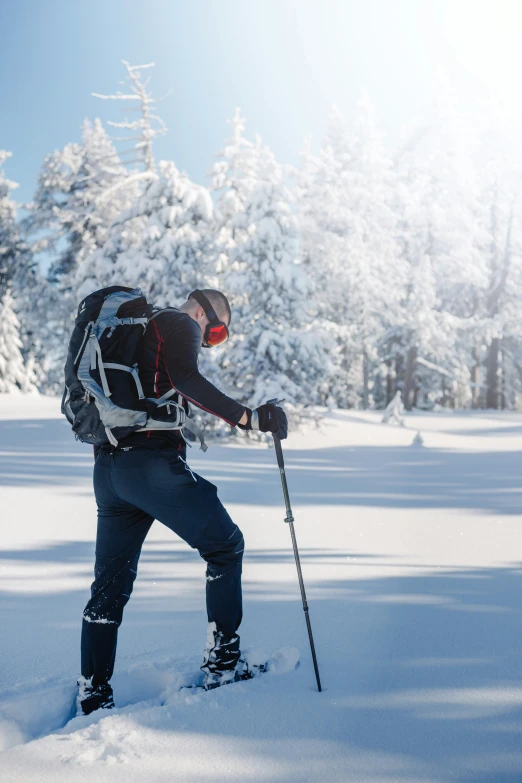 a cross country skier is crossing a snow covered path