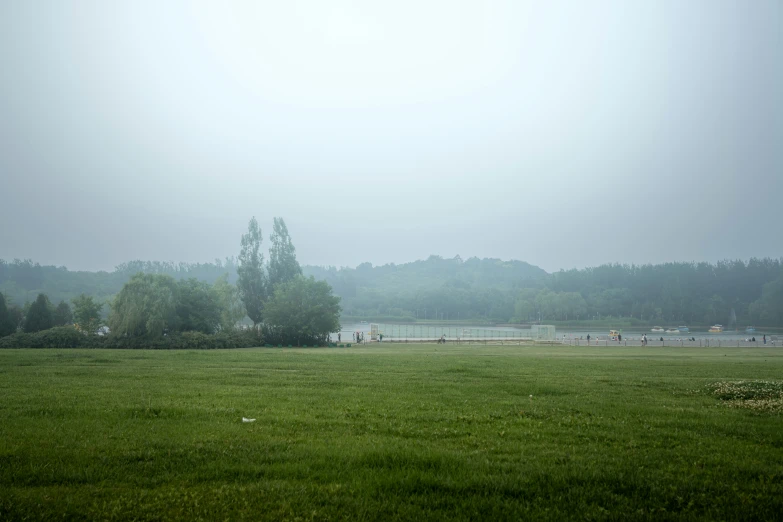 there are fog and grass in the field by water