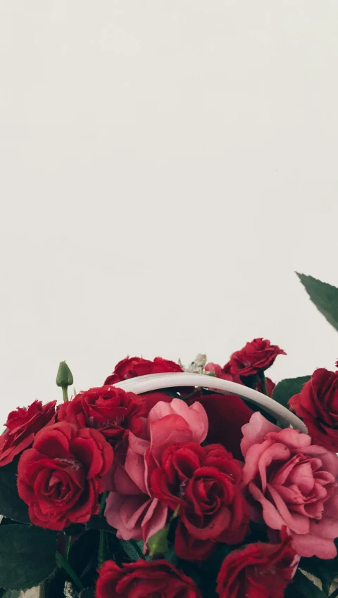 some red and pink flowers in a white pot