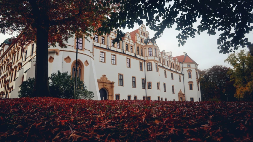 a white building with trees and bushes below