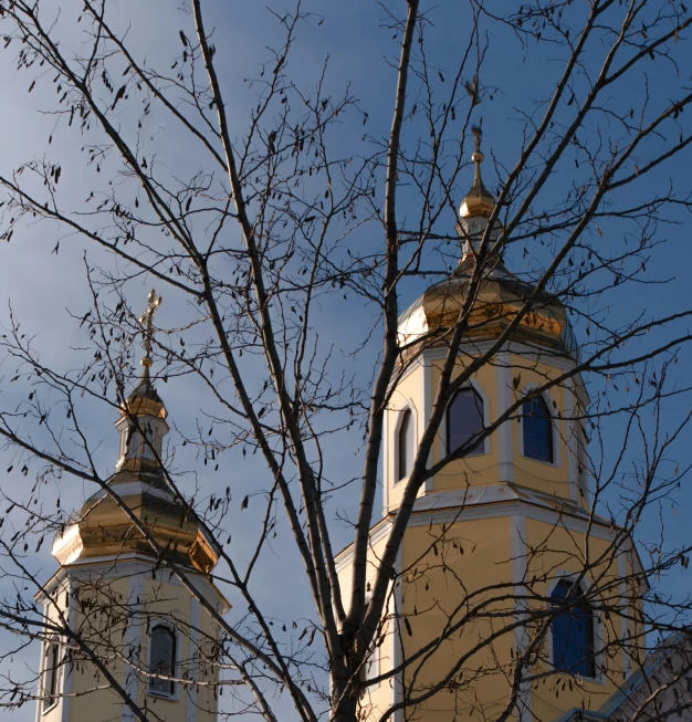 the top of two tall buildings with steeples are seen through some tree nches
