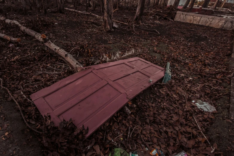 a pink wooden door is outside in the woods