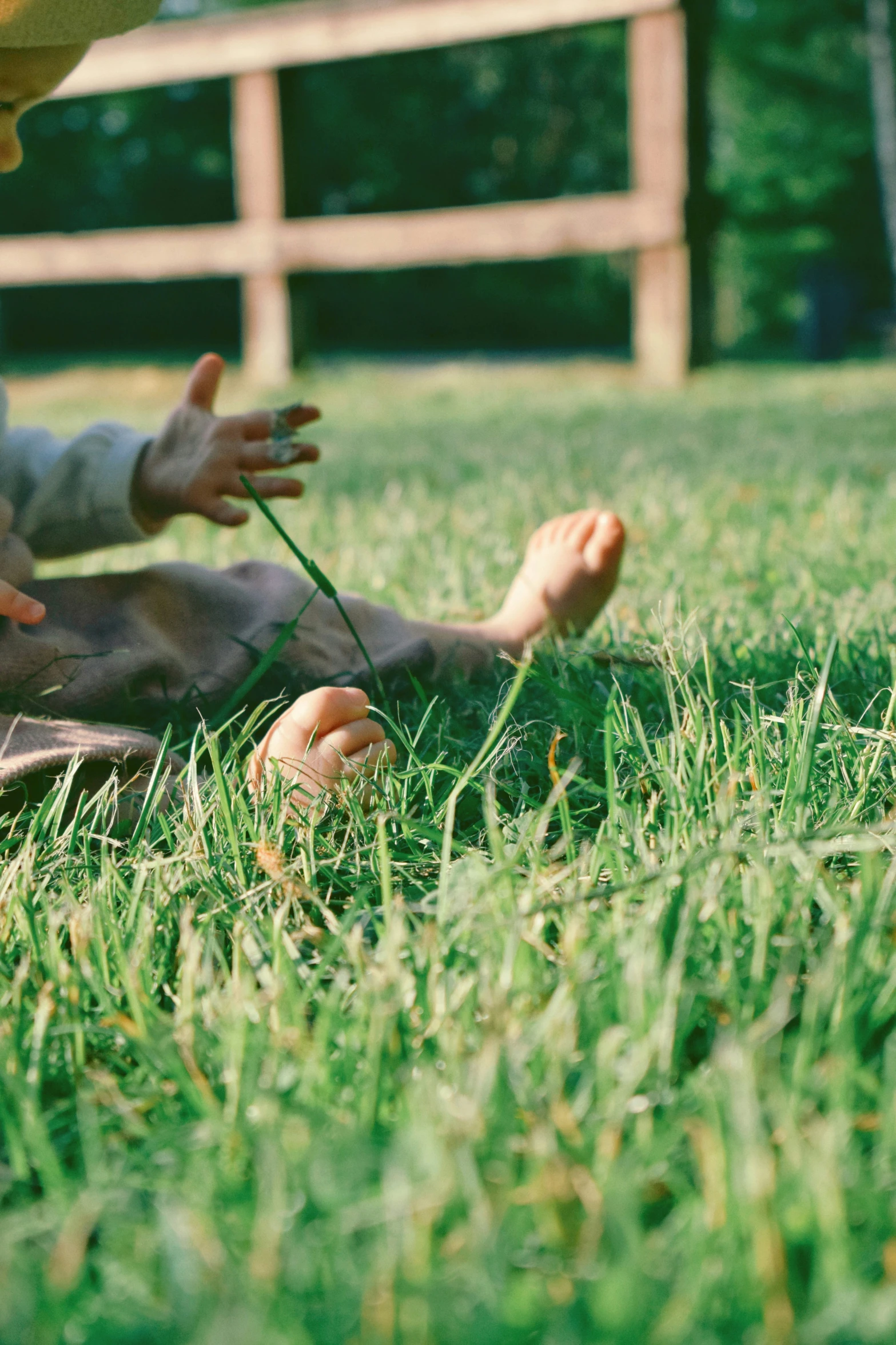 child holding a dog on a leash with it's foot