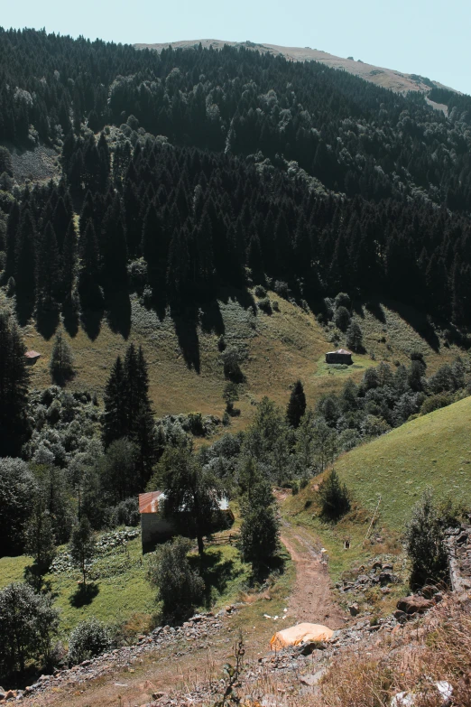 there is a large mountain with trees on top