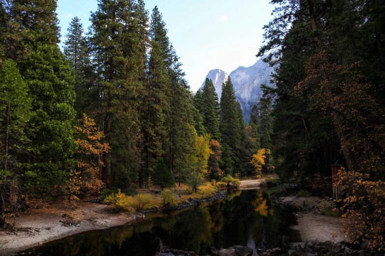 the trees are turning yellow as the water reflects