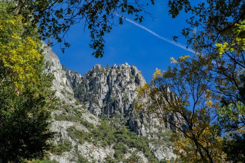 a plane is flying over a mountains range with trees