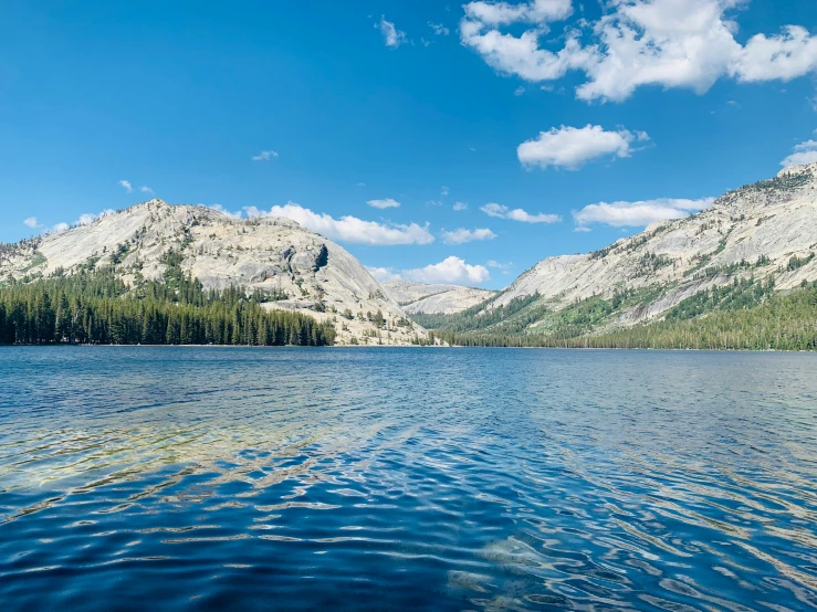 a blue lake surrounded by tall pine trees