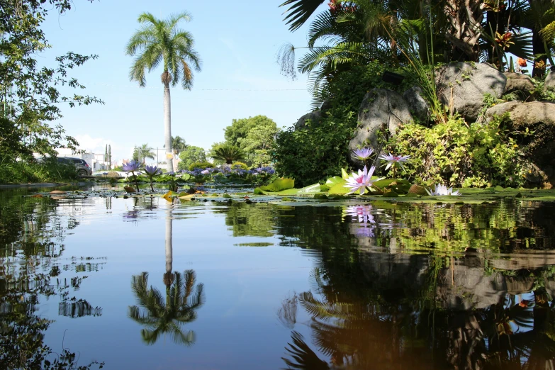 a water way with some flowers and trees in it