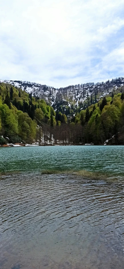 the river is quiet and is clear of any activity