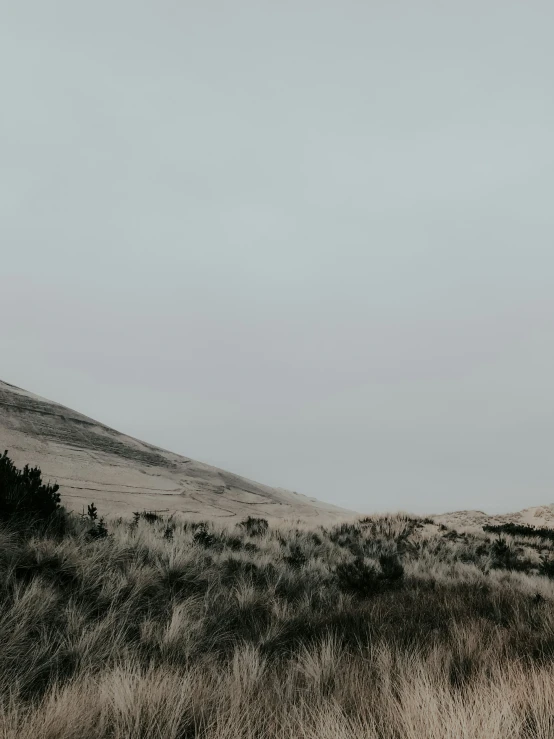 a lone bench in a grassy field in front of a hill