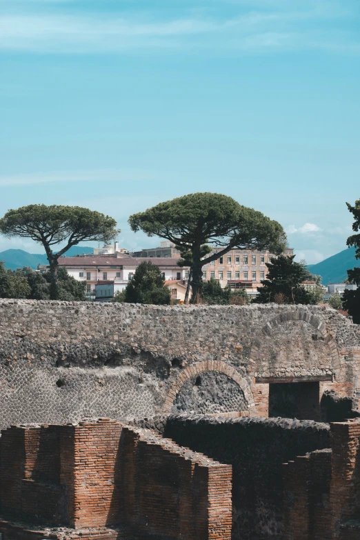 three trees line the walls of this ancient roman city