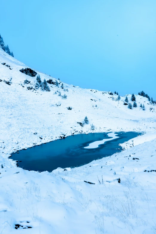 a small pool in the snow that is near some trees