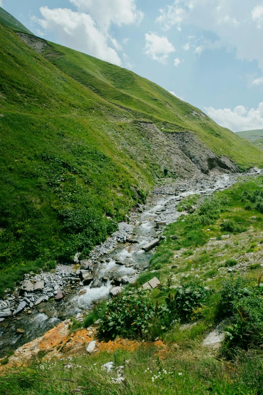 a river flowing down a lush green hillside