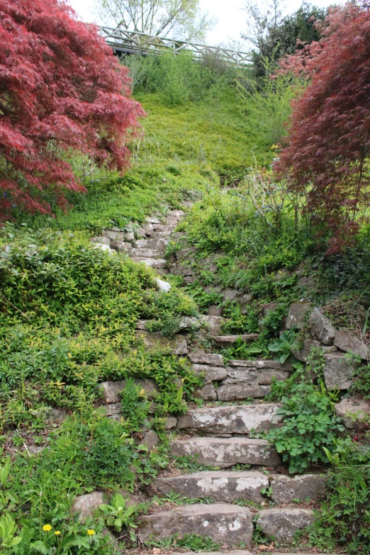 the stone stairs lead up to a small garden
