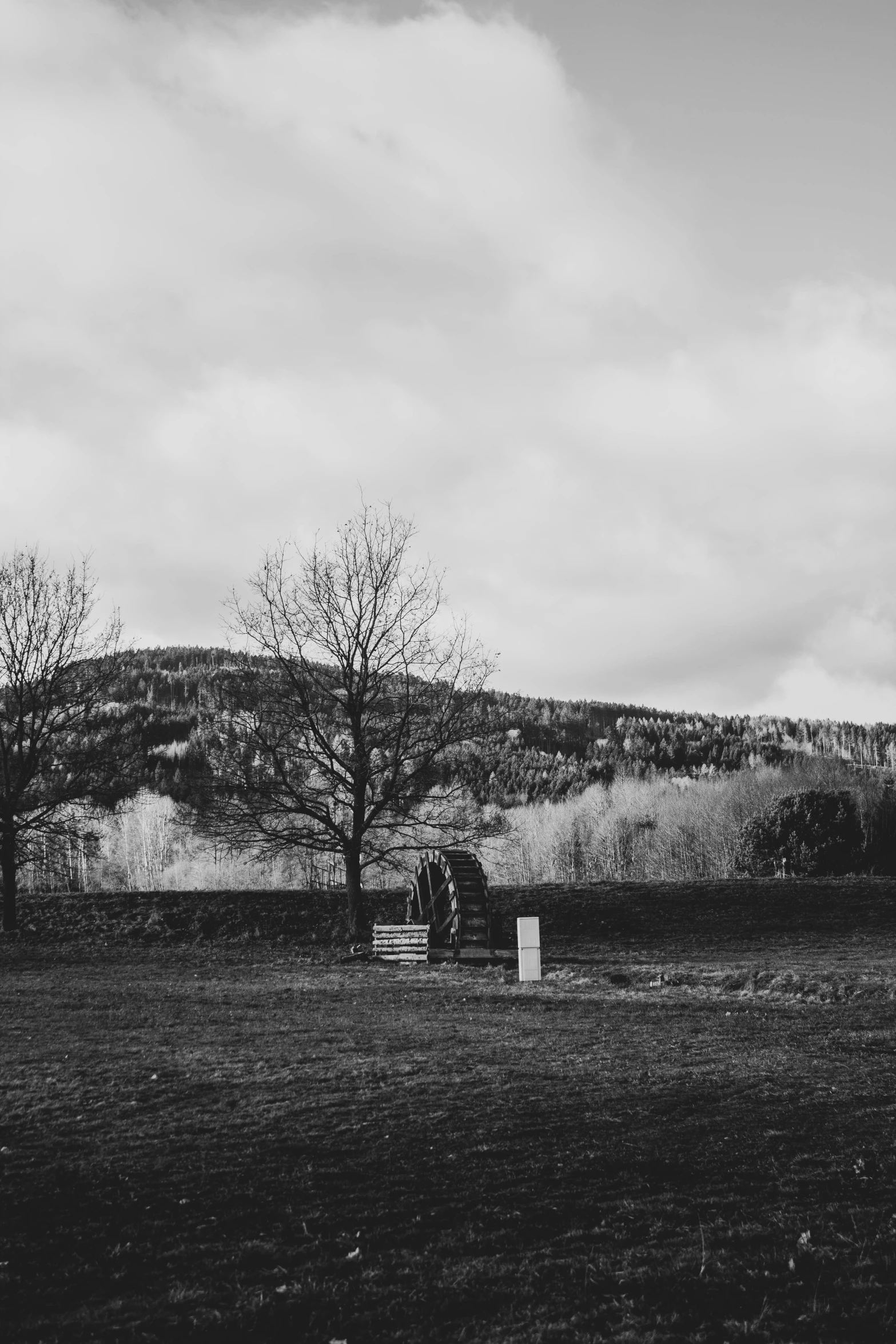 black and white image of farm field with fence and mountain in background