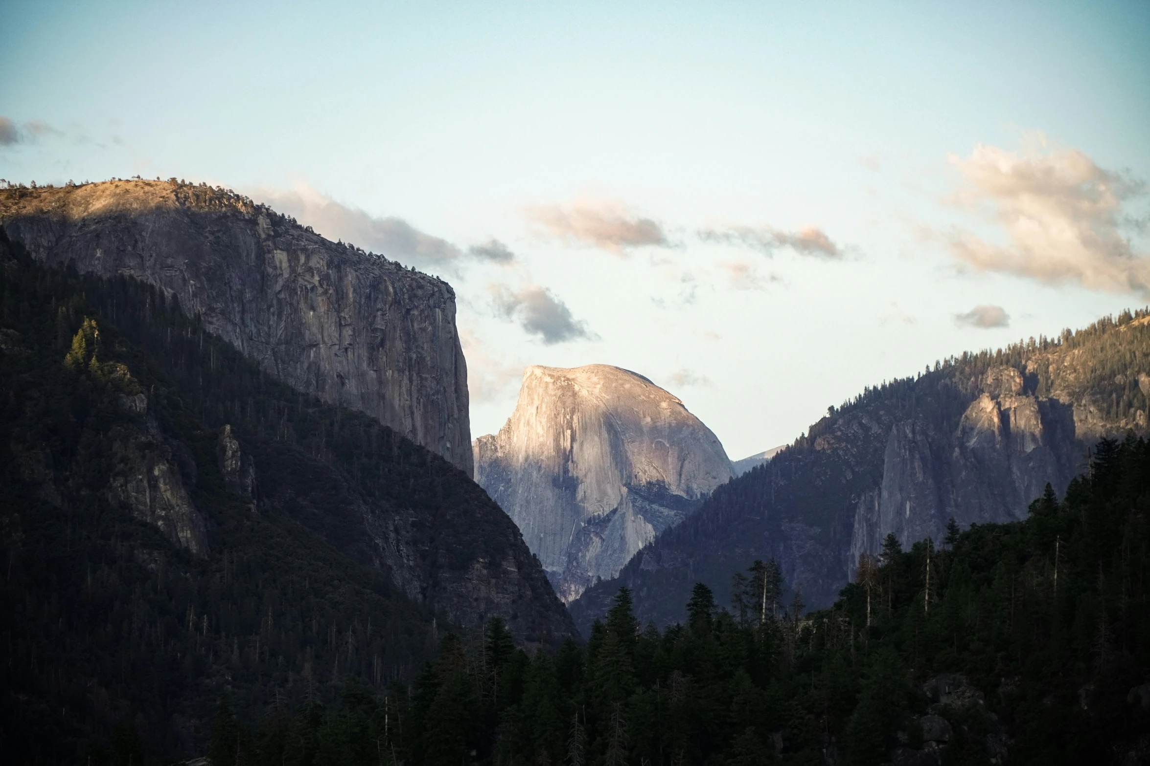 mountains rise in the distance near a forest