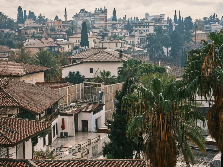 old style buildings line the hillside with trees