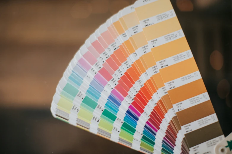 the pantone guide with color swats showing colors