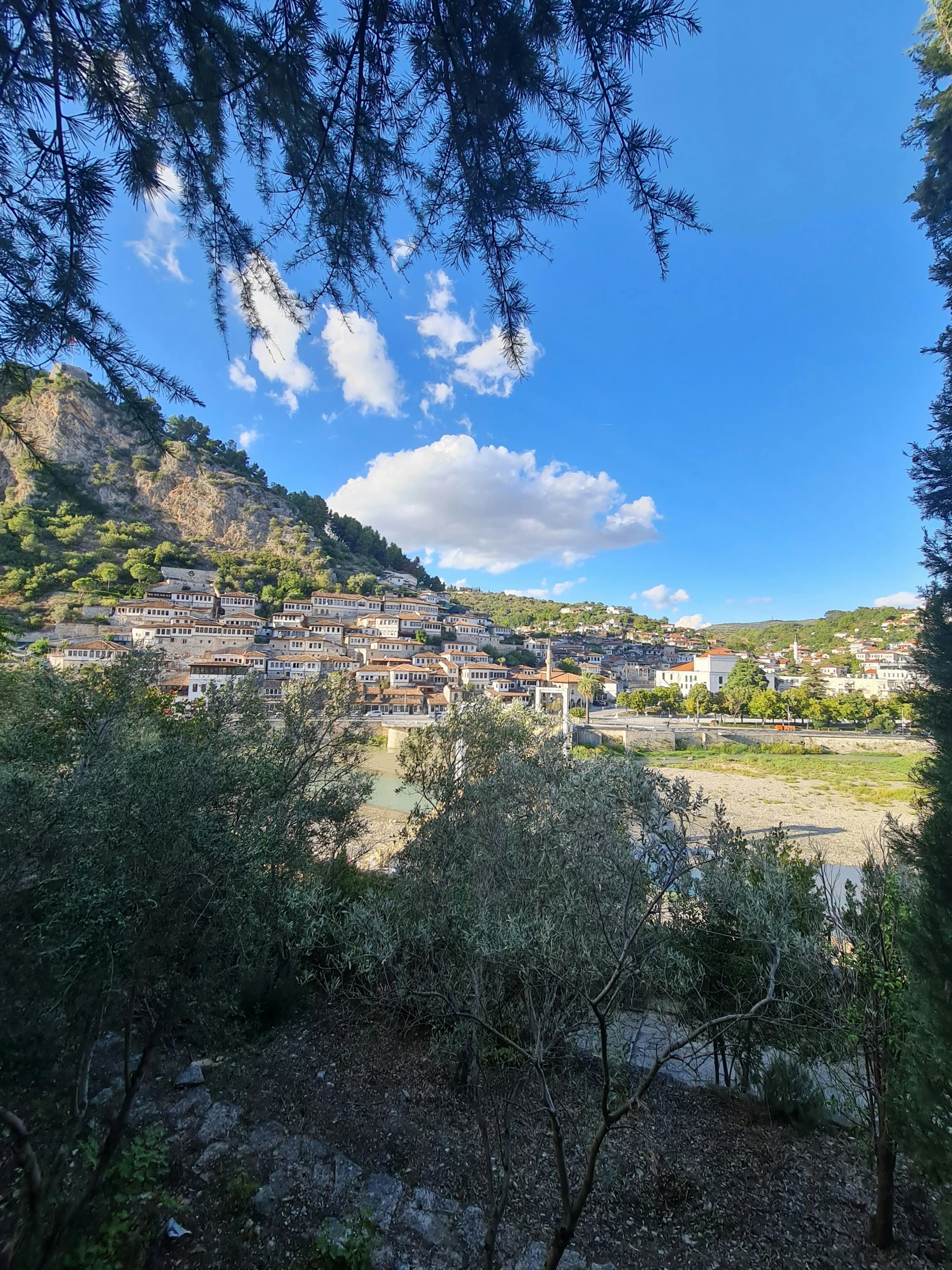 view of a town through trees to the sky