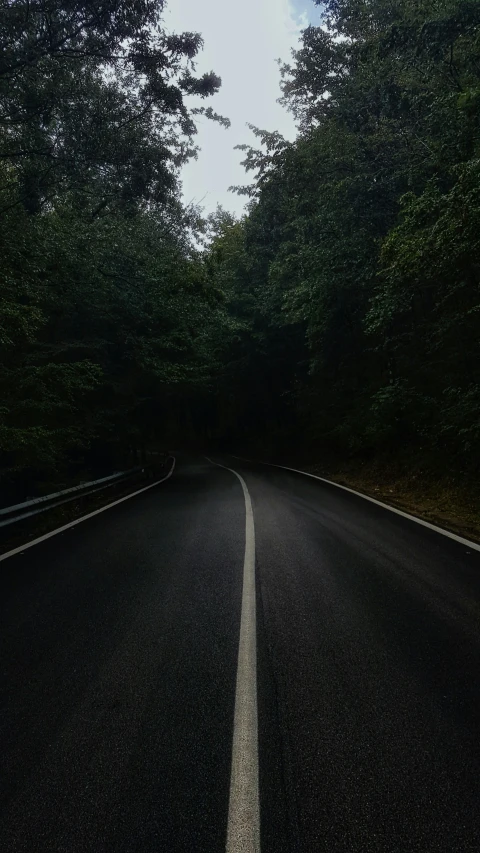 a long curved asphalt road with some trees