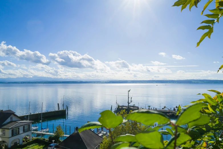 houses by the water are surrounded by vegetation