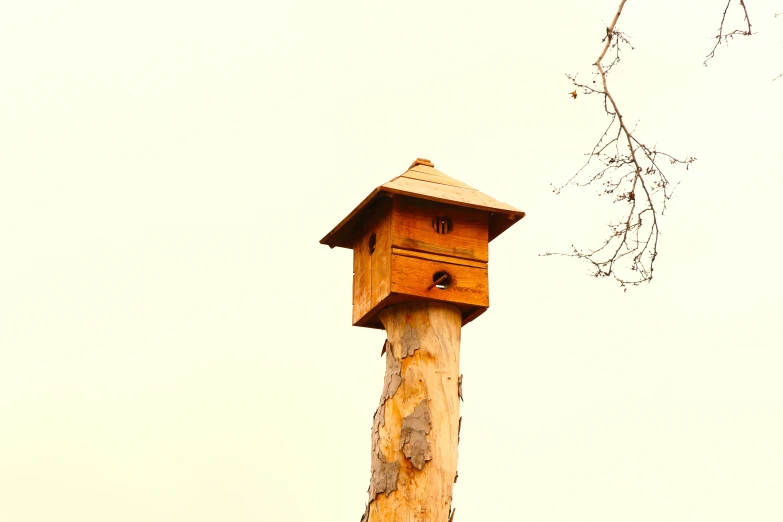 the birdhouse is perched on the wood post