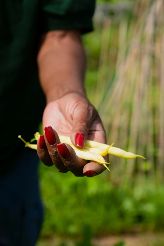 a person's hand holding a piece of food