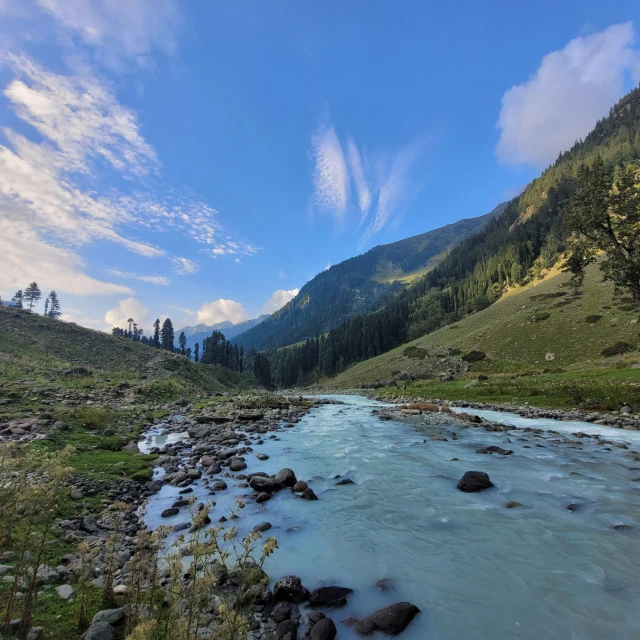 a river surrounded by lots of rocks and grass