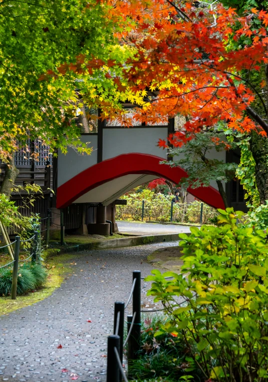 a park with trees and a stone pathway