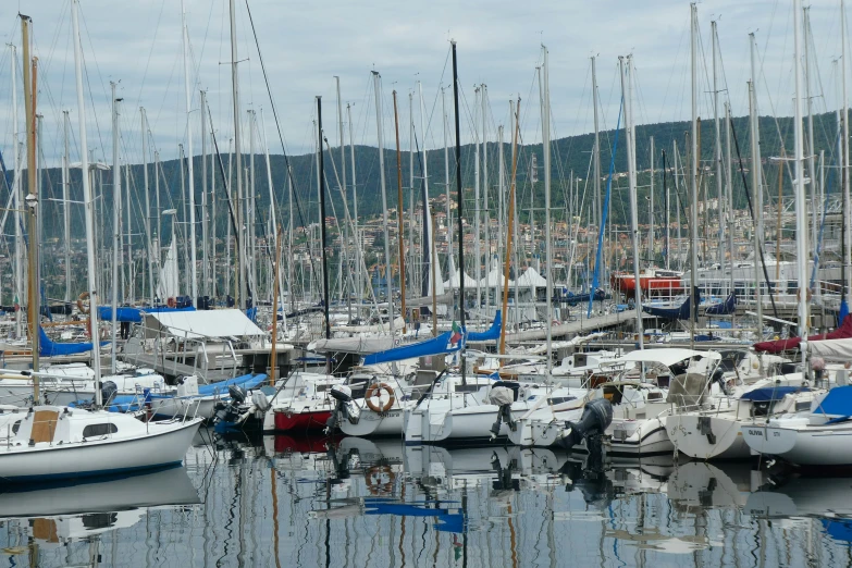 a large body of water filled with lots of sail boats