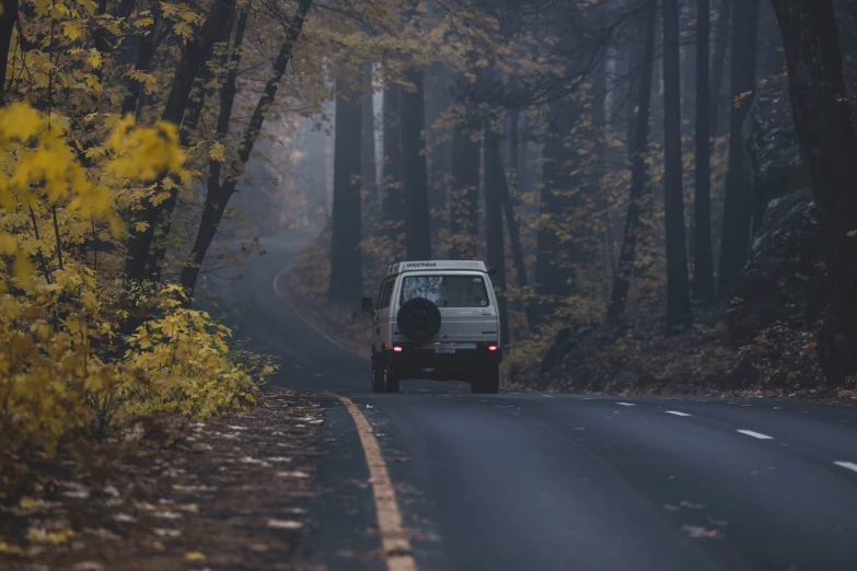 white van on a road in the middle of autumn