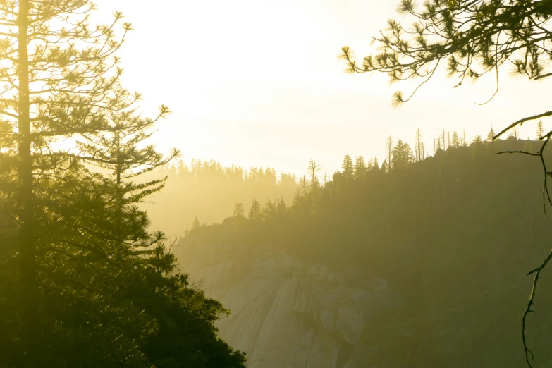 trees near a large hill with mountains in the background