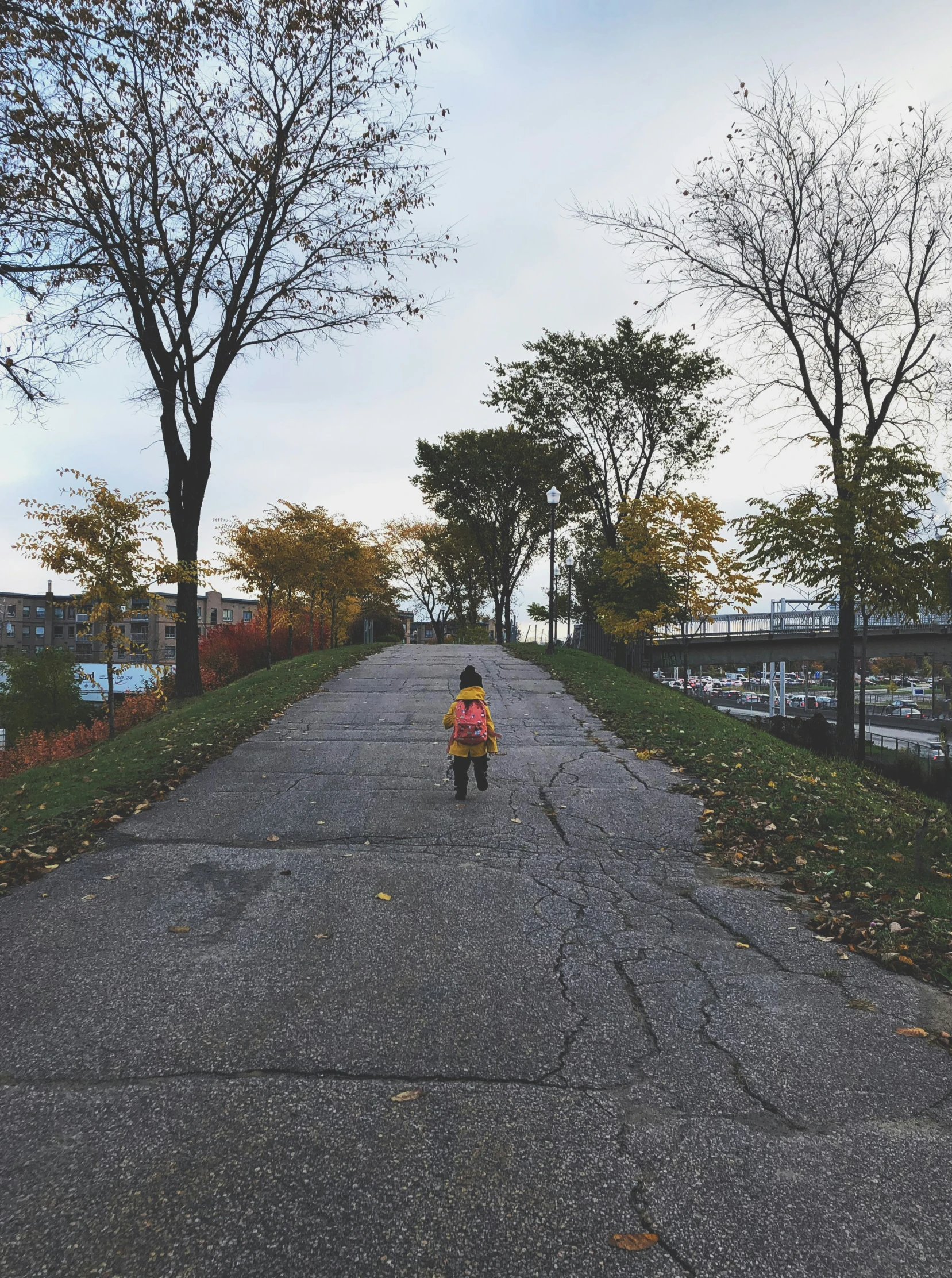 little girl walking down road towards large tree lined park