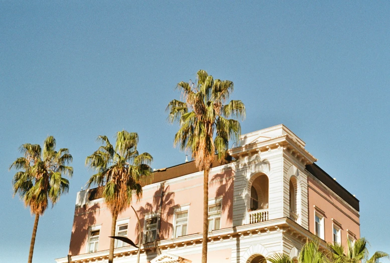 the palm trees next to a building against a blue sky