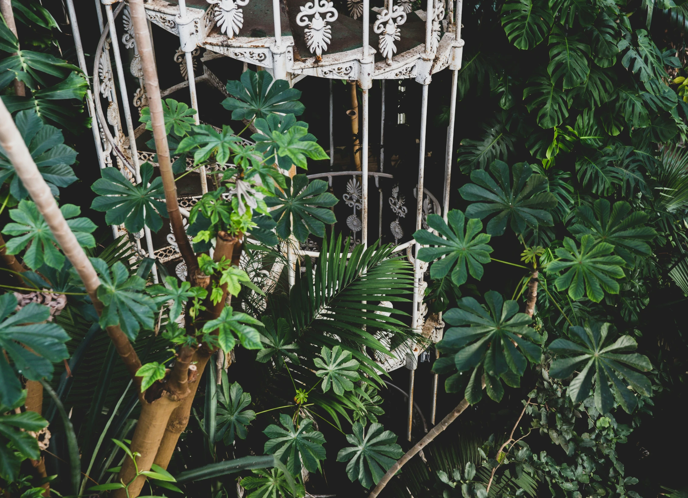 a bird cage hanging from the ceiling in some forest