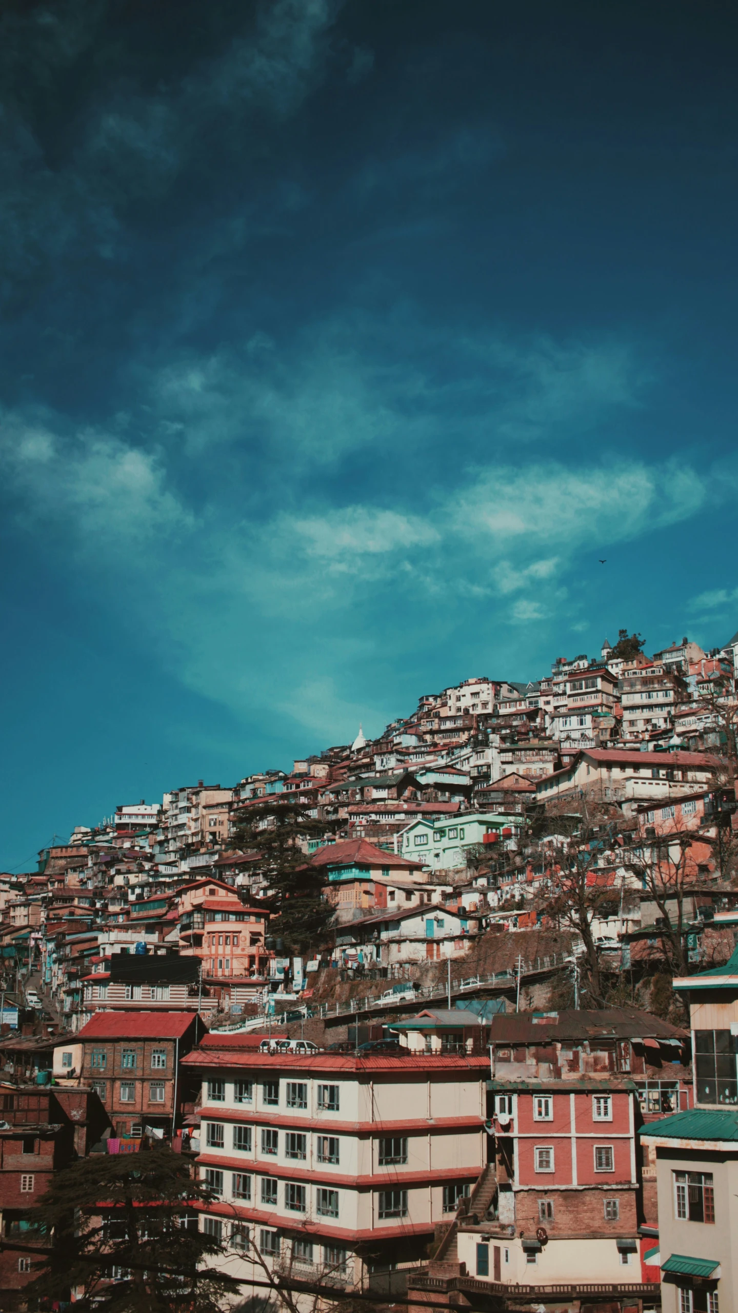 there are houses on a hillside in the city