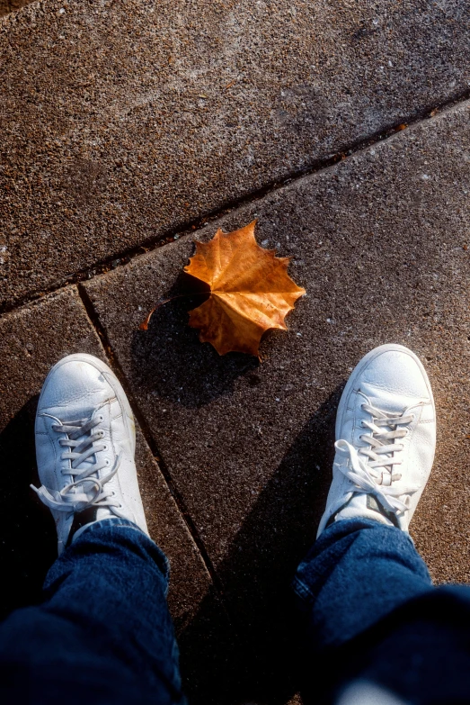 a person standing on a street with a leaf