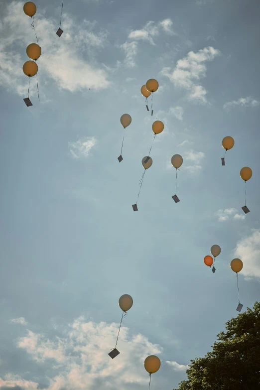 many balloons are flown in the blue sky