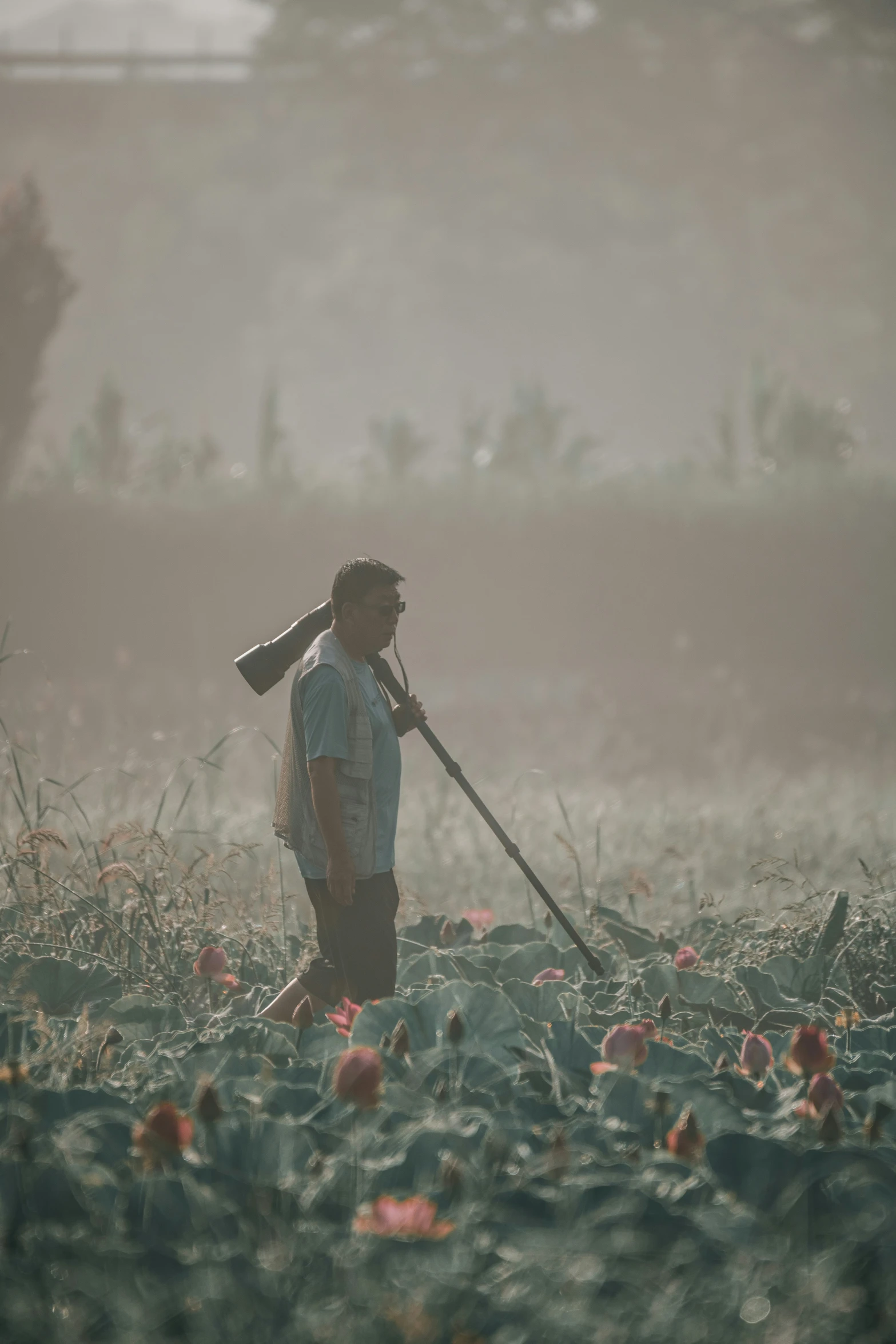 a man walking through an open field of flowers