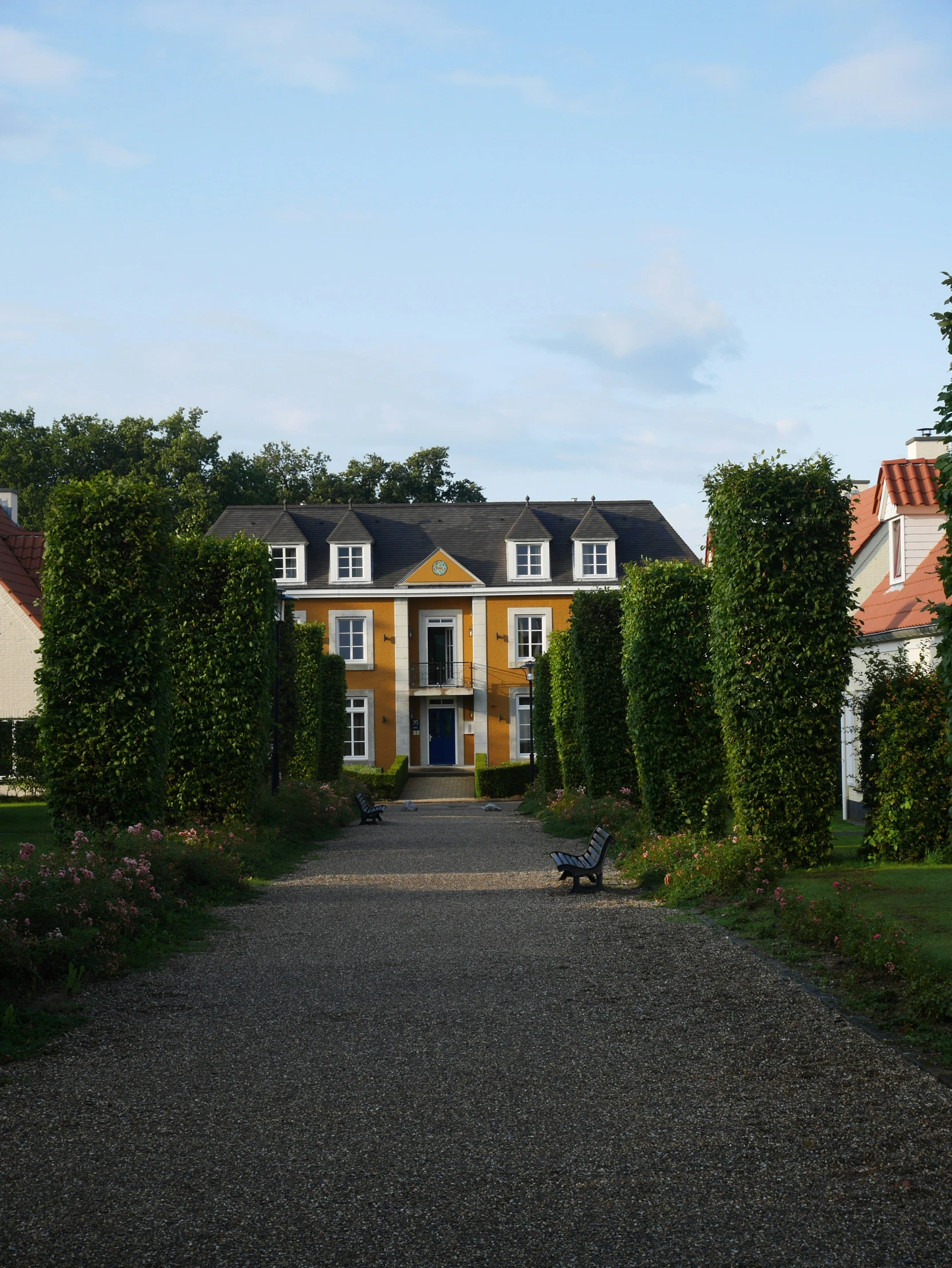 two big homes surrounded by a long row of trees