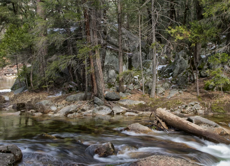 the stream has many rocks and trees along it