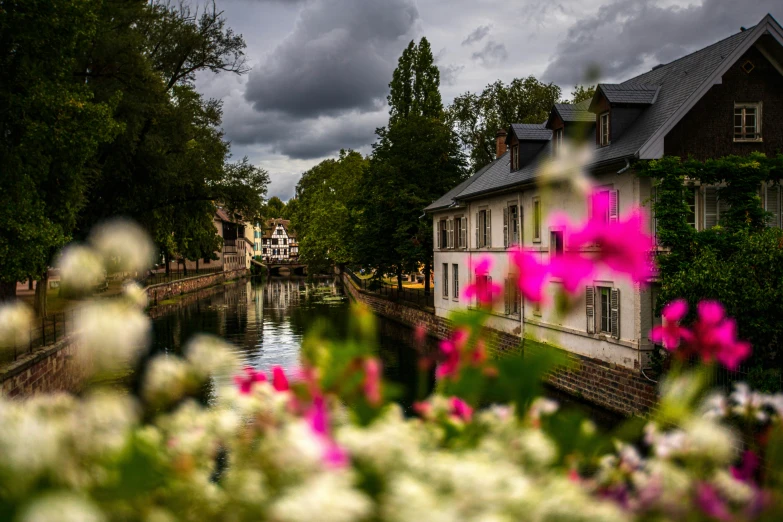 a canal running through a flower filled city