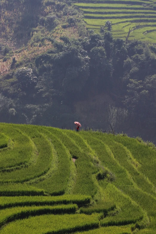 a person standing on the side of a hill