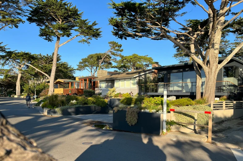 a row of home type houses on the shoreline