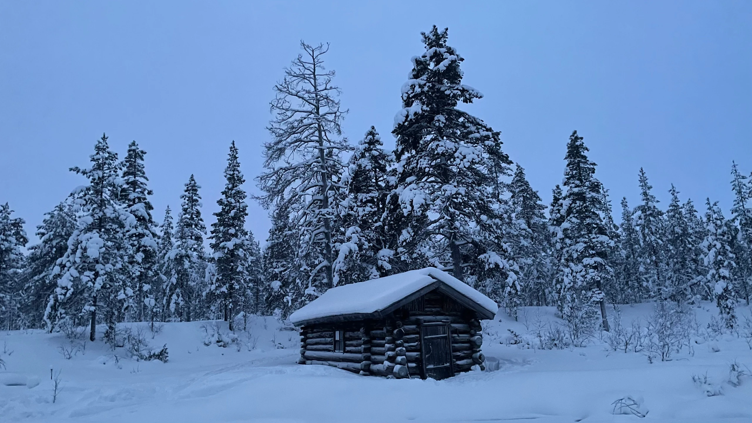 a small log cabin in the snow surrounded by trees