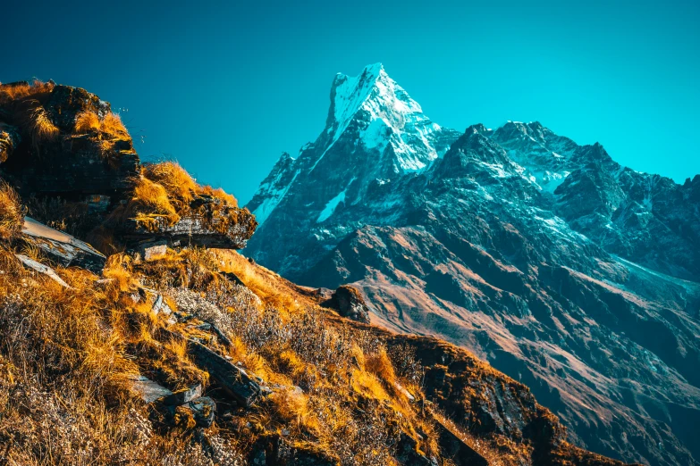 the top of the mountain with yellow moss on the ground