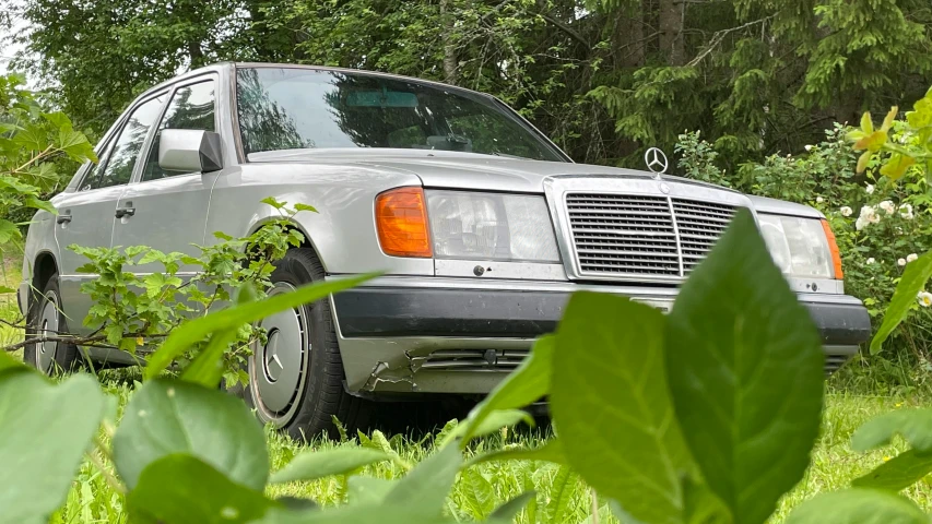 mercedes benz s class parked in the weeds