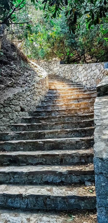 three steps on a hillside near some trees