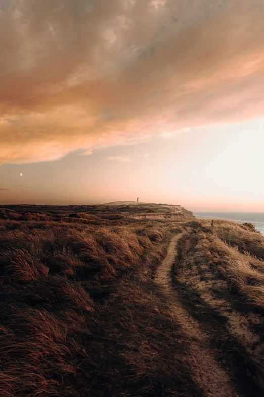 a dirt road that is next to a field with grass on the shore