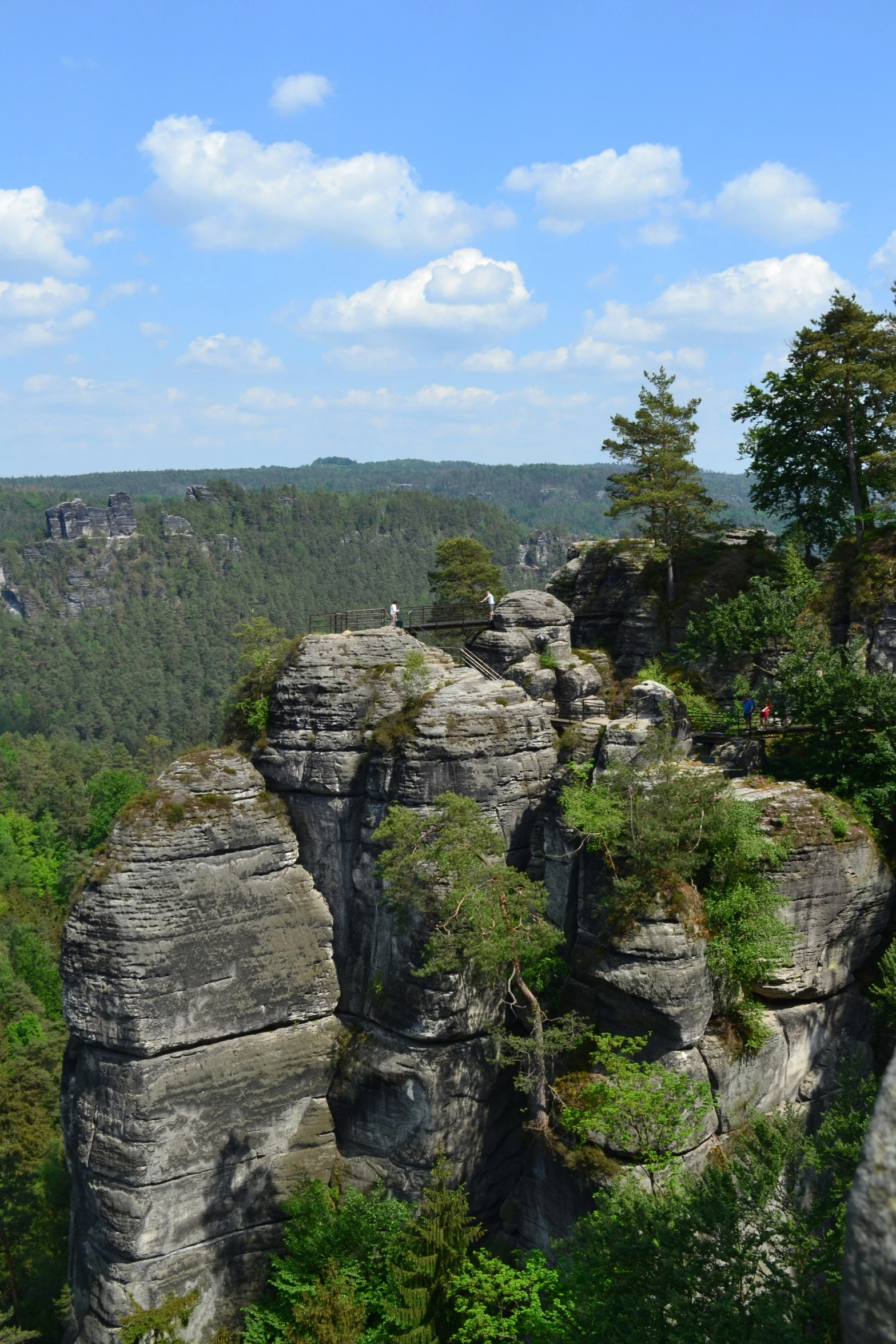 many rocks and trees are on top of a mountain